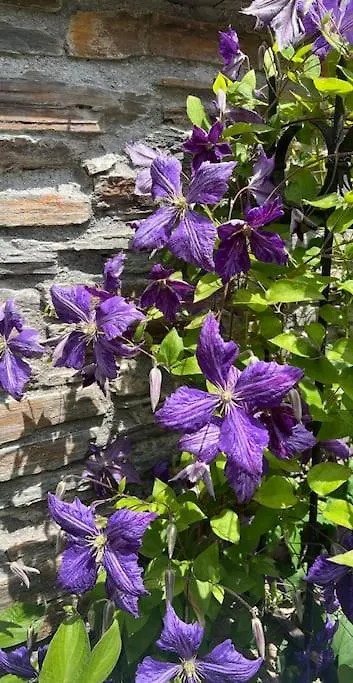 Villa Portillon - Charming Fountain Garden Villa Bagneres-de-Luchon 0*,